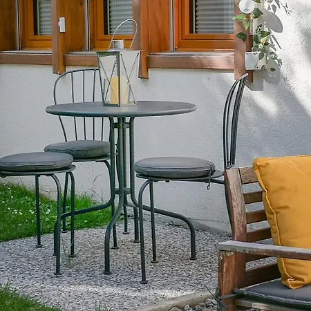 Ambassador Yellow * גראצ'ן